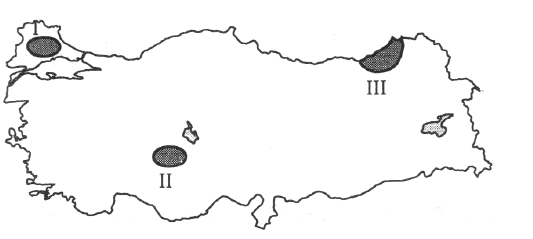 KPSS Genel Kültür Deneme Sınavı 02.05.2014