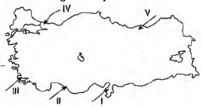 Türkiye’de İklim ve Bitki Örtüsü1 